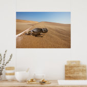 砂漠 |砂漠の中のカメレオン ポスター (キッチン)