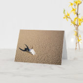 砂漠 |砂漠の地に牛のスカル カード (黄色い花)