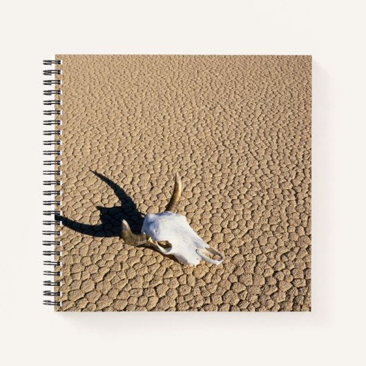 砂漠 |砂漠の地に牛のスカル ノートブック (正面)