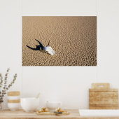 砂漠 |砂漠の地に牛のスカル ポスター (キッチン)