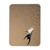 砂漠 |砂漠の地に牛のスカル マグネット (縦)