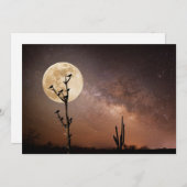 砂漠 砂漠の鳥とサグアーロ サンキューカード (正面/裏面)