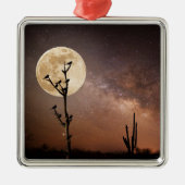 砂漠 砂漠の鳥とサグアーロ メタルオーナメント (正面)