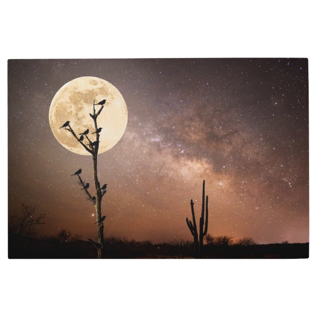 砂漠 砂漠の鳥とサグアーロ メタルプリント (正面)