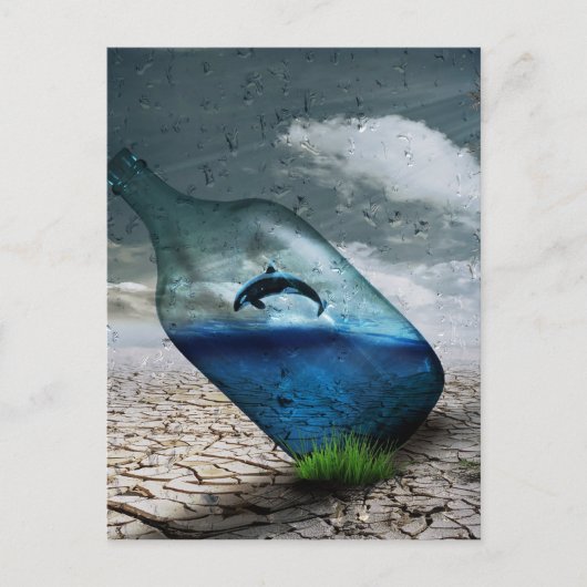 砂漠–749 ポストカード (正面)