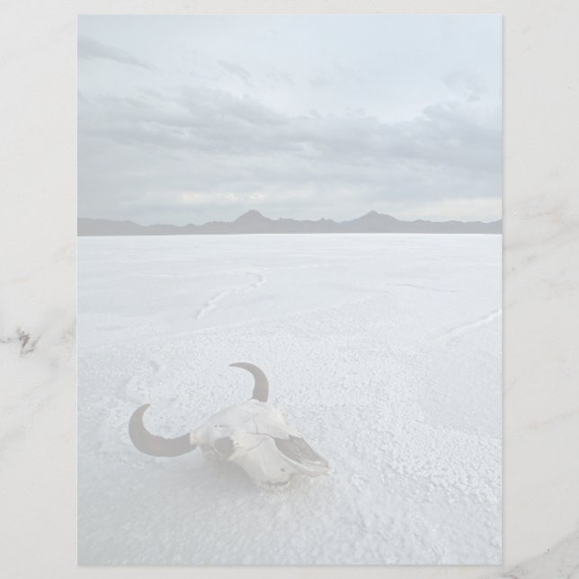 砂漠 | Bonneville Salt Flats Utah (正面)