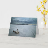 砂漠 | Bonneville Salt Flats Utah カード (黄色い花)