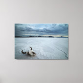 砂漠 | Bonneville Salt Flats Utah キャンバスプリント (正面)