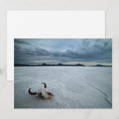 砂漠 | Bonneville Salt Flats Utah サンキューカード (正面/裏面)