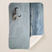 砂漠 | Bonneville Salt Flats Utah シェルパブランケット (正面)