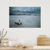 砂漠 | Bonneville Salt Flats Utah ポスター (キッチン)