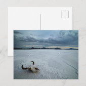 砂漠 | Bonneville Salt Flats Utah ポストカード (正面/裏面)