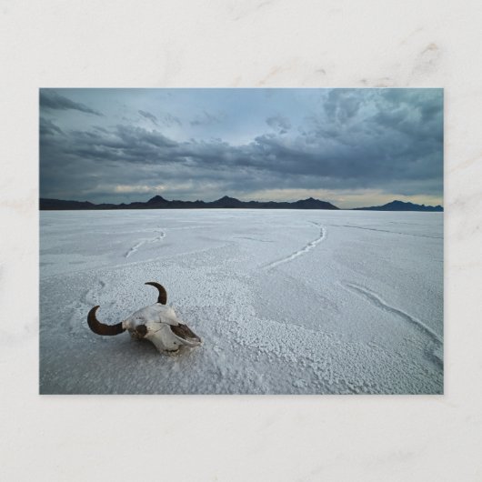 砂漠 | Bonneville Salt Flats Utah ポストカード (正面)