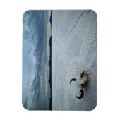 砂漠 | Bonneville Salt Flats Utah マグネット (縦)