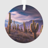 砂漠 | Cactus Landscape Argentina オーナメント (裏面)