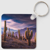 砂漠 | Cactus Landscape Argentina キーホルダー (裏面)