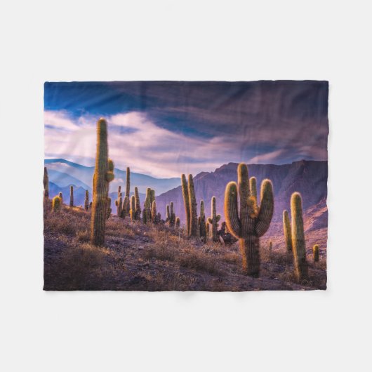 砂漠 | Cactus Landscape Argentina フリースブランケット (正面(横))