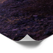 砂漠 | Cactus Landscape Argentina ポスター (角)