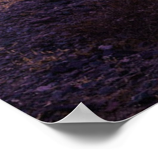 砂漠 | Cactus Landscape Argentina ポスター (角)