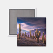 砂漠 | Cactus Landscape Argentina マグネット (正面/裏面)