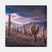 砂漠 | Cactus Landscape Argentina マグネット (正面)