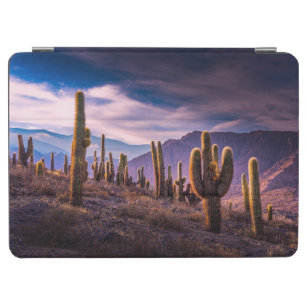 砂漠   Cactus Landscape Argentina iPad Air カバー