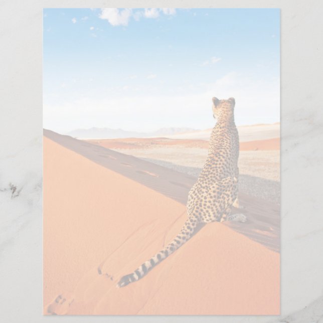 砂漠 | Cheetah Savannah砂漠 (正面)
