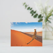 砂漠 | Cheetah Savannah砂漠 ポストカード (スタンド正面)