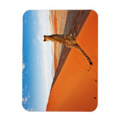 砂漠 | Cheetah Savannah砂漠 マグネット (縦)