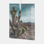 砂漠 | Cholla Cactus ガラスオーナメント (正面左)