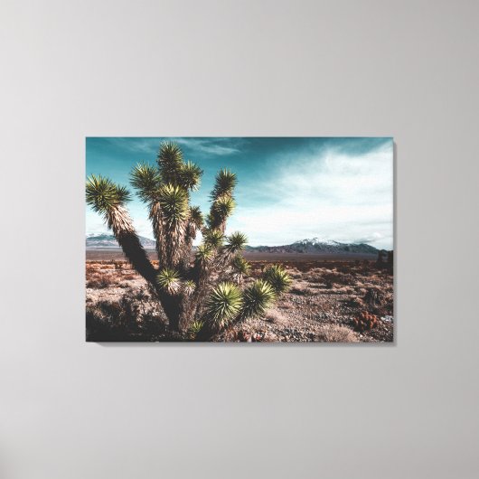 砂漠 | Cholla Cactus キャンバスプリント (正面)