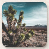 砂漠 | Cholla Cactus コースター (正面)