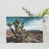 砂漠 | Cholla Cactus サンキューカード (スタンド正面)