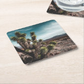 砂漠 | Cholla Cactus スクエアペーパーコースター (アングル)