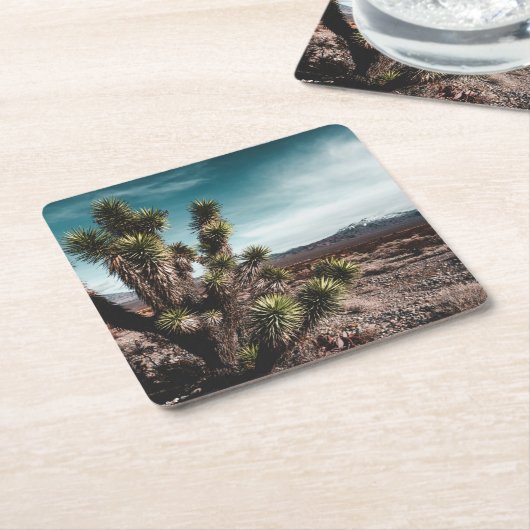 砂漠 | Cholla Cactus スクエアペーパーコースター (アングル)