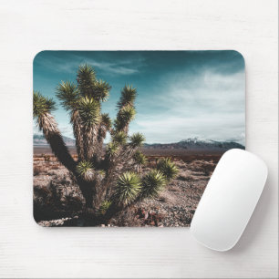 砂漠   Cholla Cactus マウスパッド