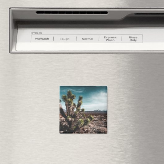 砂漠 | Cholla Cactus マグネット (インサイチュ (食洗機))