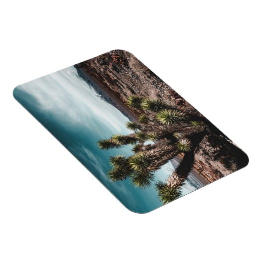 砂漠 | Cholla Cactus マグネット (右側)