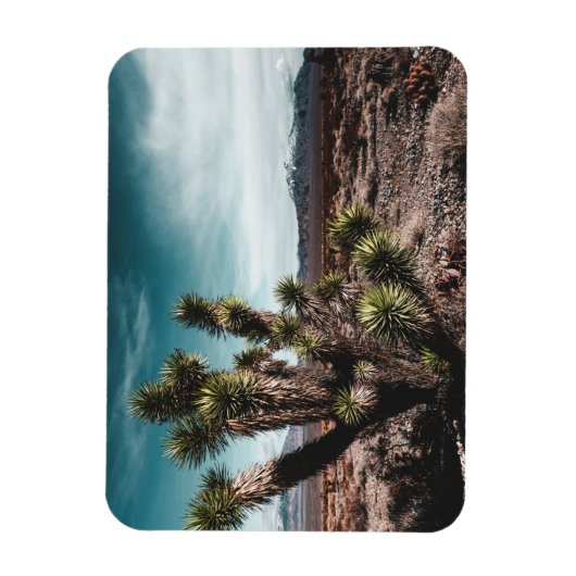 砂漠 | Cholla Cactus マグネット (縦)