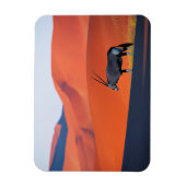 砂漠 | Namib砂漠オリックス マグネット (縦)