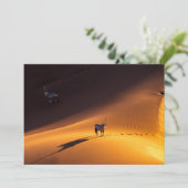 砂漠 Namib Naukluft National Park Kenya サンキューカード (スタンド正面)