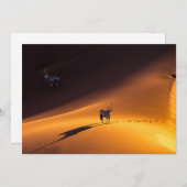 砂漠 Namib Naukluft National Park Kenya サンキューカード (正面/裏面)