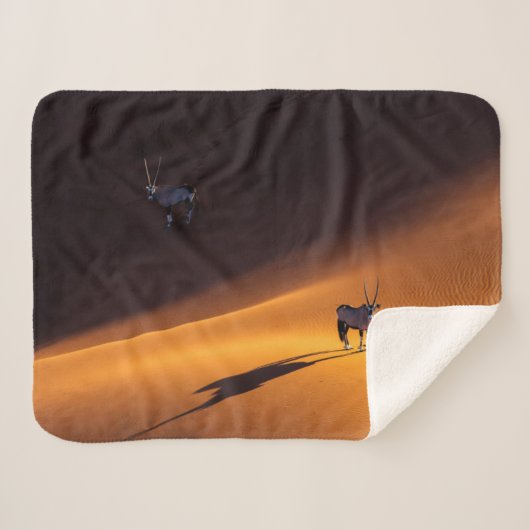 砂漠 Namib Naukluft National Park Kenya シェルパブランケット (正面(横))