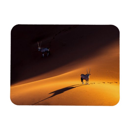 砂漠 Namib Naukluft National Park Kenya マグネット (横)