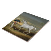 、砂漠(oの新郎を持つ灰色のアラビア人、信号を送って下さい タイル (側面)