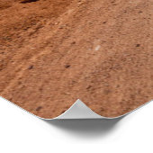 砂漠 | Saguaro National Park Arizona ポスター (角)