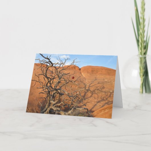 砂漠Tannenbaum シーズンカード (正面)