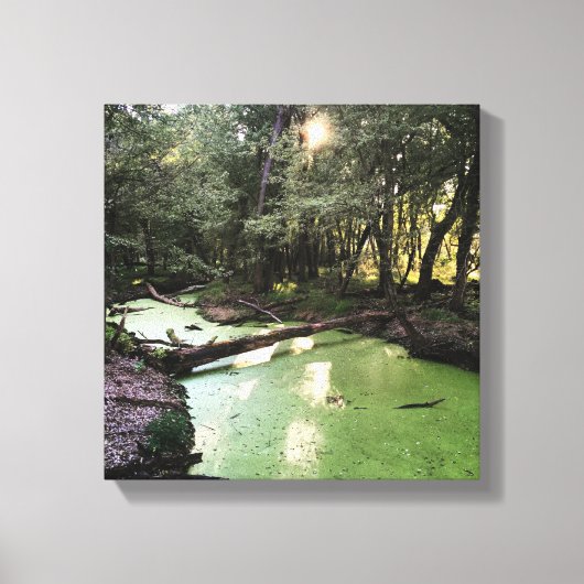 砂点歩道 キャンバスプリント (正面)