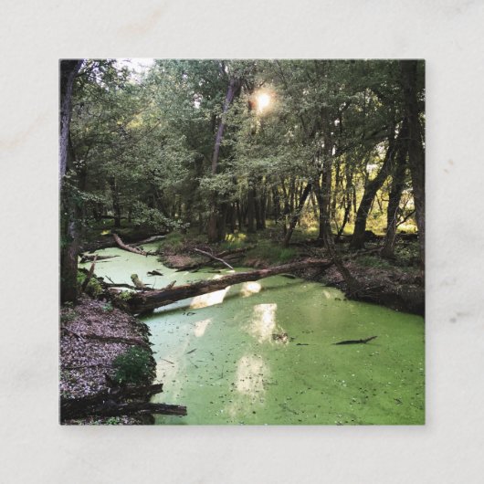 砂点歩道 スクエア名刺 (正面)