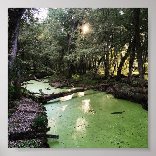 砂点歩道 ポスター (正面)